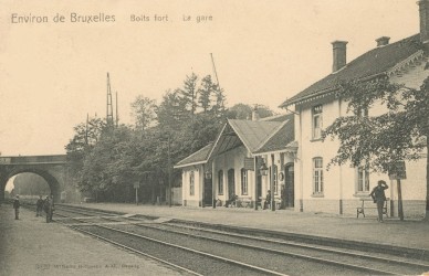 Boisfort 2.jpg